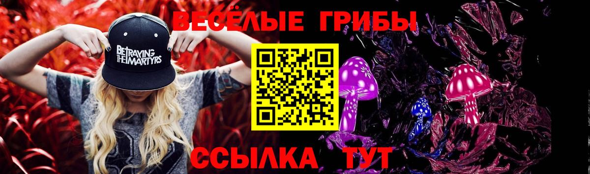 Галлюциногенные грибы Psilocybe Люберцы